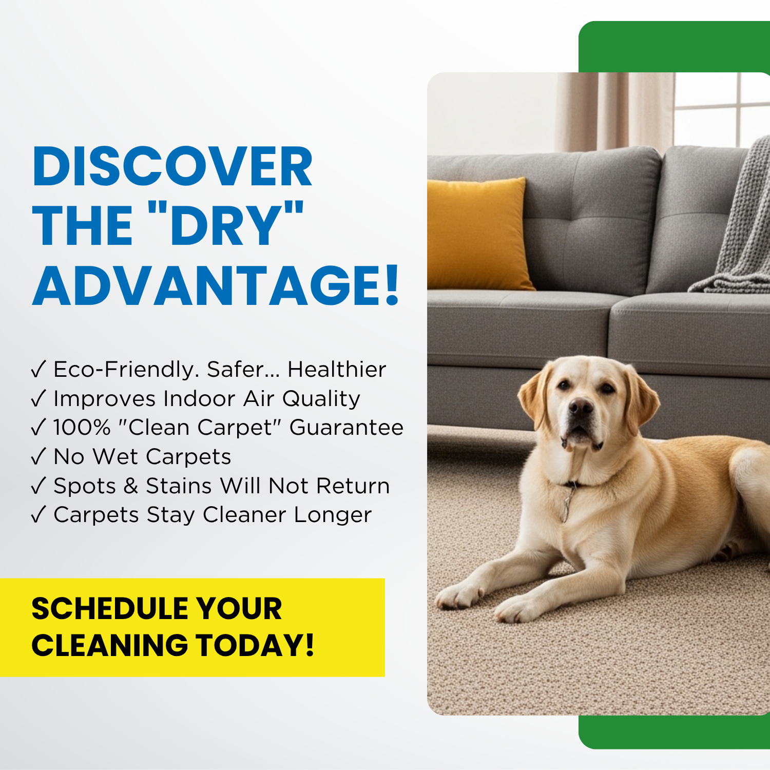 Carpet Cleaning