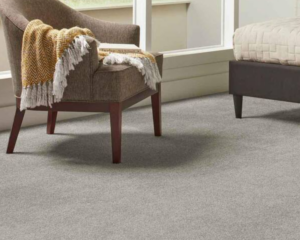 Modern home with clean carpet (2)