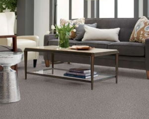 Modern home with clean carpet