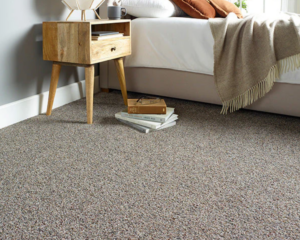 Modern home with clean carpet